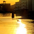 写真: 恵比須運河
