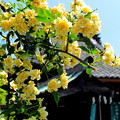 写真: 巽神社
