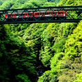 写真: 箱根登山鉄道・出山鉄橋