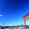 写真: 長井漁港