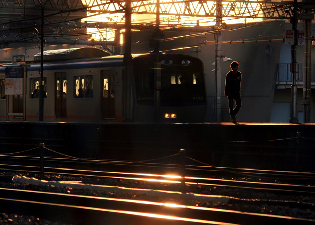 Photos: 夕陽の当たる駅