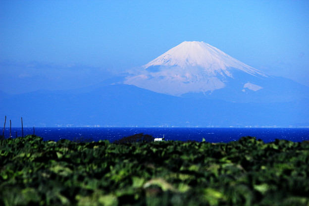 写真: かすみ富士