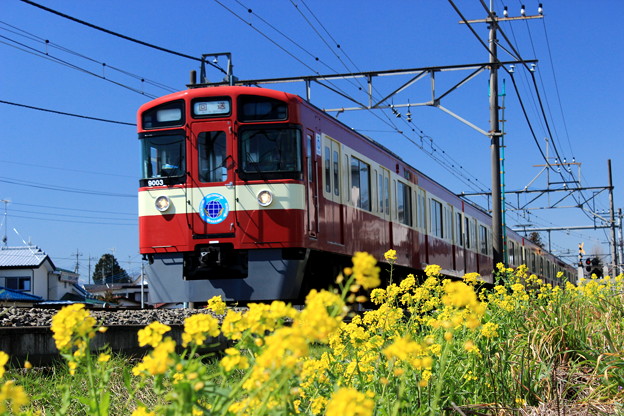 写真: Red Lucky Train
