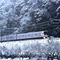 写真: 京王高尾冬景色
