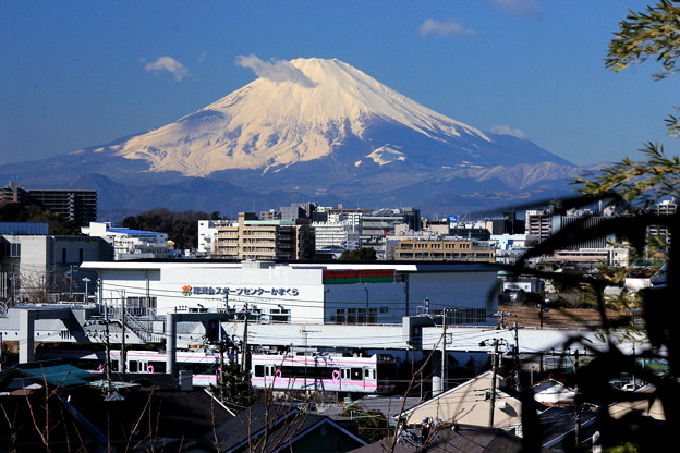 写真: 富士山電車〜湘南モノレールバージョン〜