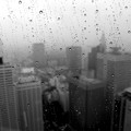 雨に煙る新宿摩天楼