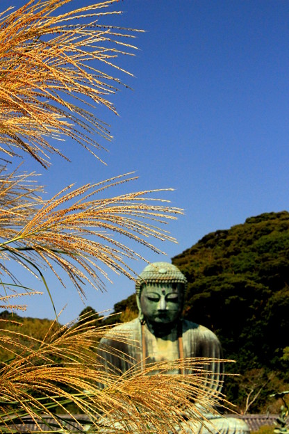 写真: 秋色Buddha
