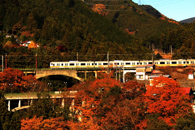 写真: 紅葉電車〜奥多摩線バージョン〜