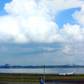 Late Summer Airport