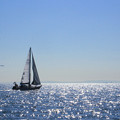 Photos: Sail Away