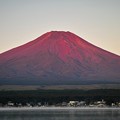 山中湖からの赤富士  その(4)