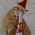 写真: キティちゃんのスパークリングワインと福嗣