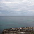 写真: 青空と緑海