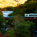 写真: 山田線　紅葉と滝