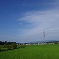 写真: 田んぼと空