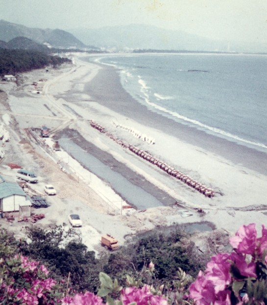 写真: 1973 totoro (2)