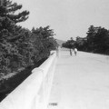 写真: 沖田橋　1960-1