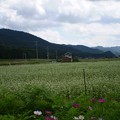 写真: 開田高原