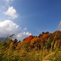 写真: 高原を渡る秋の風