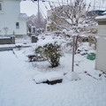 写真: 初雪2012