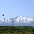 写真: 風車と鳥海山
