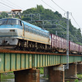 写真: 東海道線　由比〜興津
