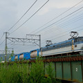 写真: 東海道線　由比〜興津