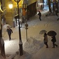 写真: 雪のパセオ通り