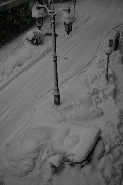 写真: 大雪のパセオ通り