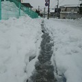 写真: 雪の細い道
