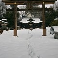 写真: 雪の福島稲荷神社