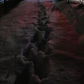 雪道に残る足跡