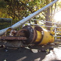 写真: 落ち葉と消火栓
