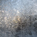 写真: 窓の氷3