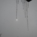 写真: つららと、雪と、太陽