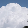 写真: もくもく雲