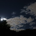 写真: 月光