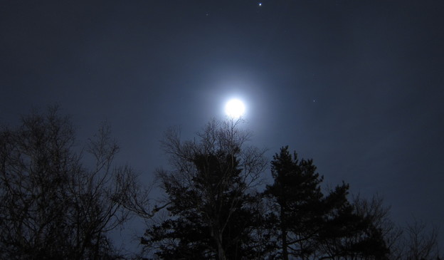 写真: 薄曇りの月