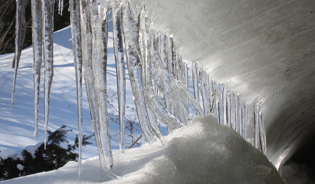 写真: 雪庇とツララ