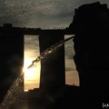 写真: 焼け石に水_4522-マーライオンと朝日