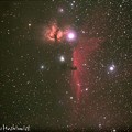 写真: B33馬頭星雲NGC2024炎星雲