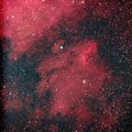 写真: 20130504ペリカン星雲-IMG_8707-1440
