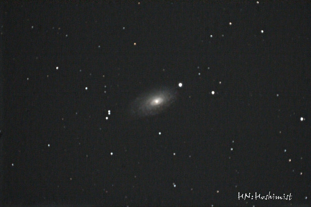 写真: M63ひまわり銀河(IMG_4569)2014.03/06