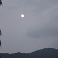 写真: １１月５日「十三夜の月」