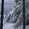 写真: １２月９日「雪景色」
