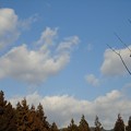 写真: ２月３日「空と雲と」