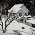 写真: １２月２０日「今日の雪」