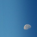 La luna che sta a galla in un cielo blu