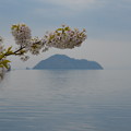 写真: 満開の桜から、竹生島を撮ってみました。13_04_DSC_0002
