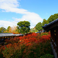 写真: 東福寺方丈からの眺め♪